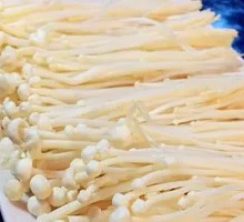 Enoki Mushroom