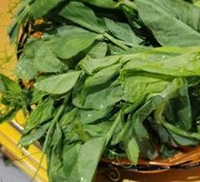 Seasonal Pea Shoots