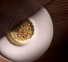 Truffle Honeycomb Pasta