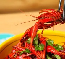 Spicy Large Shrimp with More than 2 Catties