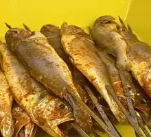 Small Stove Yellow Croaker