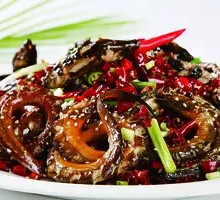 Coiled Eel in Dragon Shape