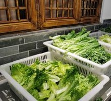 Vegetable Buffet