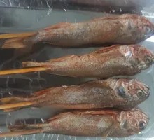 Yellow Croaker