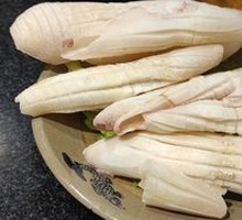 Rocket Squid
