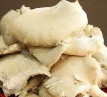 Enoki Mushroom