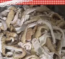 Intestine Head