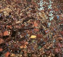 Sichuan-Style Rabbit in Boiling Sauce