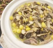 Ginkgo Pig's Stomach