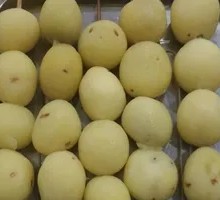 Potato