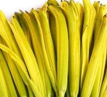 Fresh Daylily Flowers