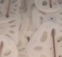 Lotus Root