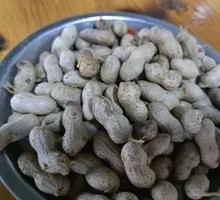 Salted Peanuts