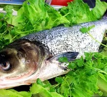 Clear Water Fish