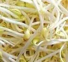 Bean sprouts