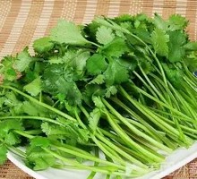 Cilantro