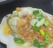Trendy Oyster