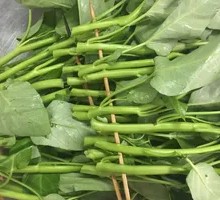 Water spinach