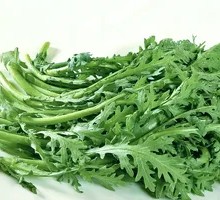 Water Dropwort Unlimited