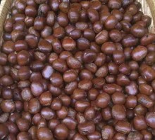 Candied Chestnuts