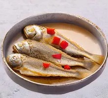 Deep-sea Yellow Croaker