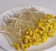 Bean sprouts