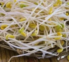 Cave Bean Sprouts