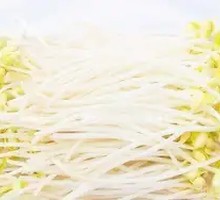 Bean sprouts