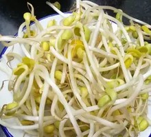 Well Water Bean Sprouts