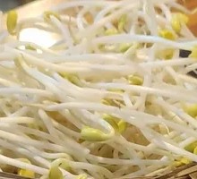Well Water Bean Sprouts