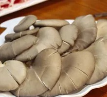 Girl Picked Oyster Mushrooms