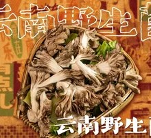 Yunnan Wild Mushrooms