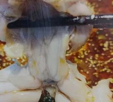 Live Frog Weighed and Killed Fresh