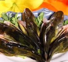 Freshly Caught Yellow Catfish