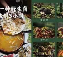 Yunnan Wild Mushrooms
