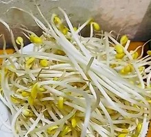 Bean sprouts