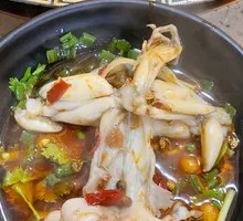 Rice Field Delight Frog