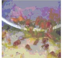 Catfish with Pig Intestines