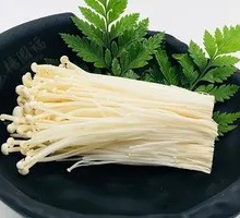Enoki Mushroom