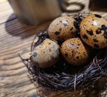 Quail Egg