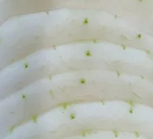 Winter Melon
