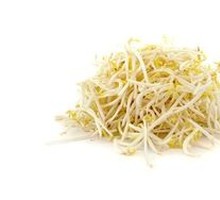 Bean sprouts