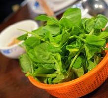 Pea Shoots