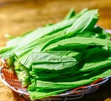Oilseed lettuce