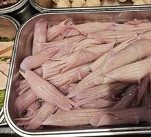 Rocket Squid