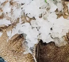 Layered Tripe