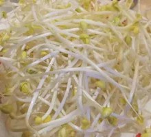 Bean sprouts