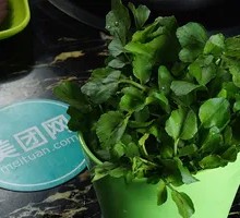 Watercress