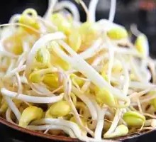Well Water Bean Sprouts