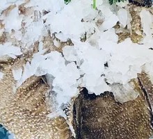 Fresh Tripe